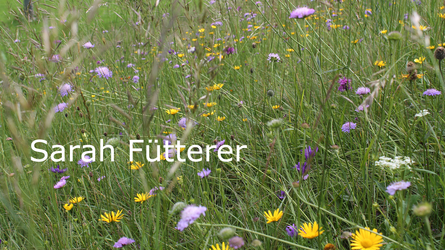 Sarah Fütterer Kartierungen Kompensationsplanung Aufnahme Kennarten